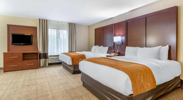 Четырёхместный номер Standard Comfort Suites Elkhart South