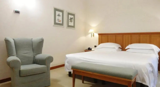 Двухместный номер Standard Hotel Excelsior Magenta