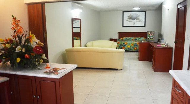 Junior suite Hotel NV