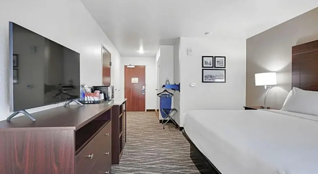 Номер Standard Cobblestone Hotel & Suites - Mosinee