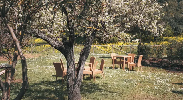 Номер Standard Agriturismo i Moresani