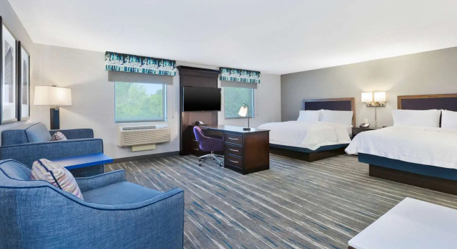 Люкс Hampton Inn and Suites Flint/Grand Blanc