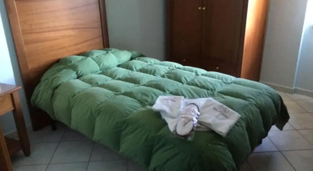 Номер Standard Hotel D.G. Garden