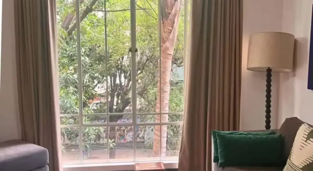 Апартаменты Condesa Residence Campeche 276