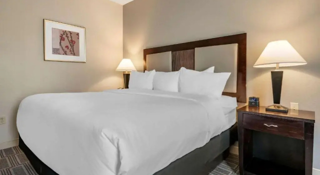 Номер Standard Comfort Inn & Suites Port Charlotte-Punta Gorda