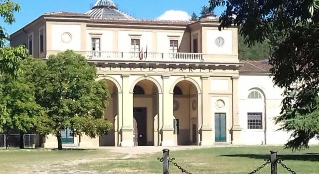 Romana 100