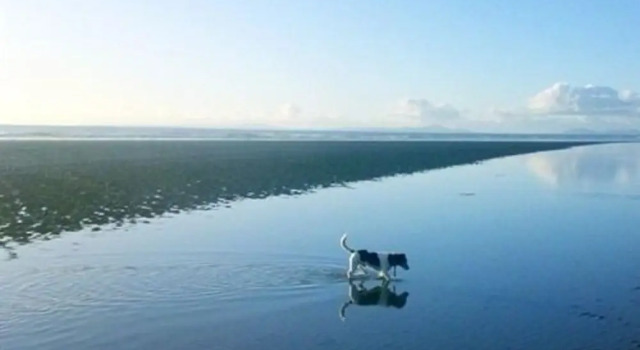 White Ocean, Забронировать Отель Отели Англии 3 звезды, 3*