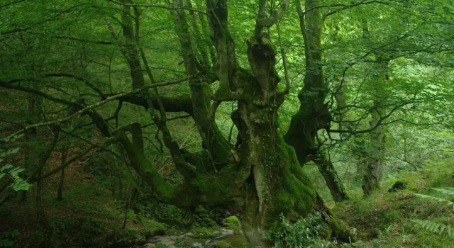 El Rincón del Besaya, Забронировать Отель Отели Кантабрия с парковкой, Парковка