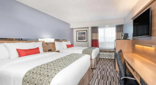 Номер Standard Microtel Inn & Suites by Wyndham Sudbury