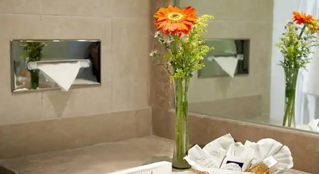 Номер Standard Hotel Viva Villahermosa