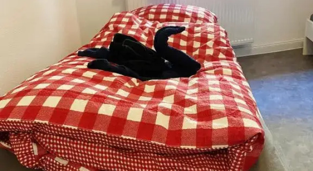 Номер Economy Hotel Waldhorn