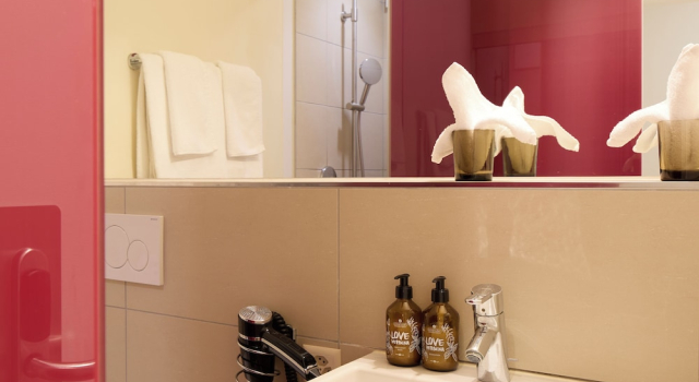 Двухместный номер Standard PLATZHIRSCH ZÜRICH - Downtown Boutique Hotel & Sushi Lounge