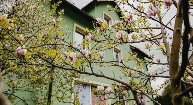Апартаменты Apartamenty Magnolia