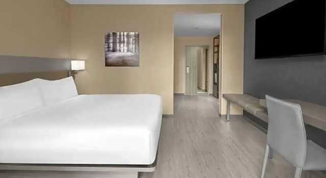 Номер Standard AC Hotel by Marriott St Louis Central West End