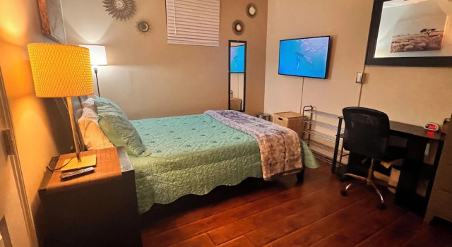 Номер Comfort Oasis Room Rental