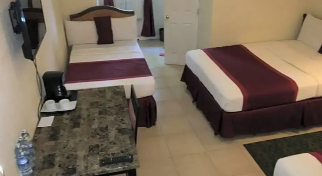 Номер Standard Executive Airport Hotel