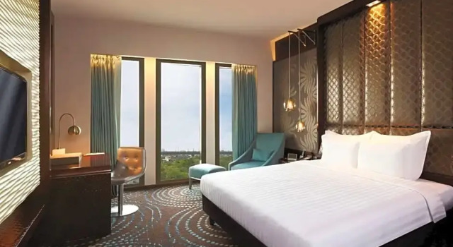 Двухместный номер Deluxe Pullman New Delhi Aerocity