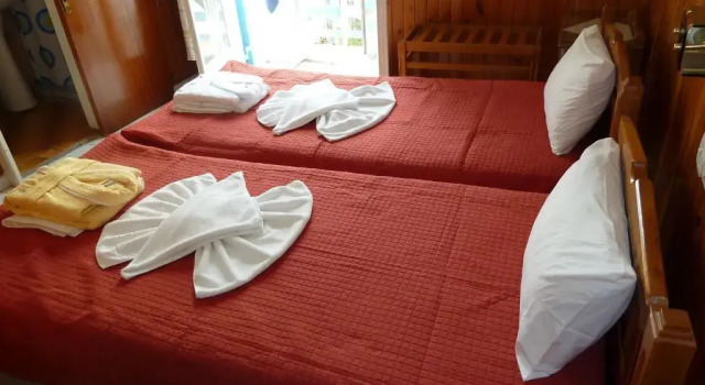 Двухместный номер Economy Hotel Dolphin