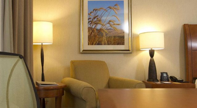 Двухместный номер Standard Hilton Garden Inn Cedar Falls Conference Center
