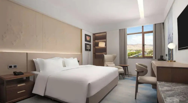 Номер Standard DoubleTree by Hilton Altay Fuyun