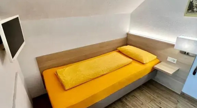 Одноместный номер Standard с видом на горы Hotel-Heilsberg