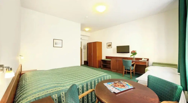 Трёхместный номер Standard с видом на город LH Hotel Mlýn