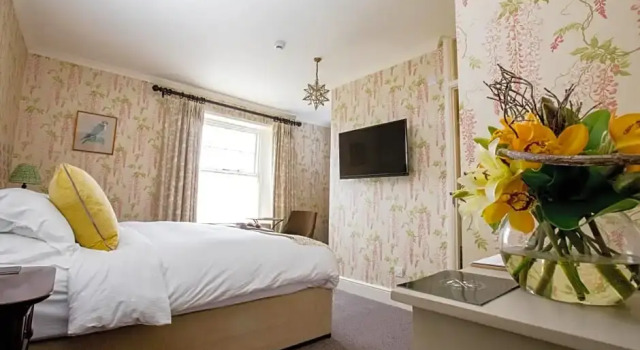Premium Zimmer The Hawk Inn