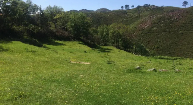 Коттедж Casa Campos