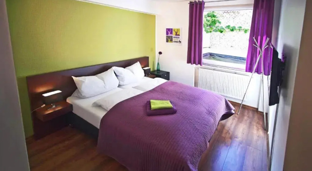 Двухместный номер Economy Hirsch Hotel Hanau
