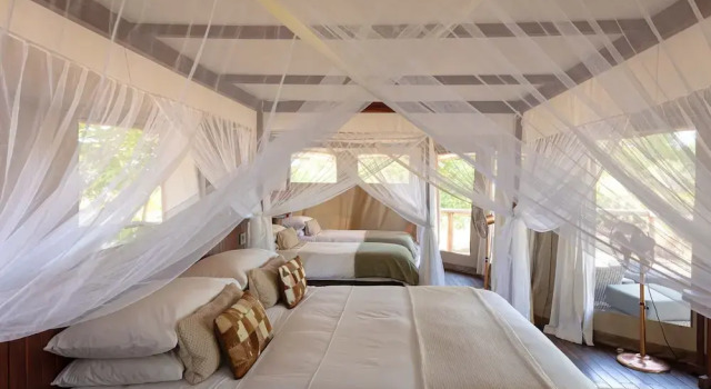 Ila Safari Lodge, Buchen Sie Ferienhaus Kafue-Nationalpark Sambia