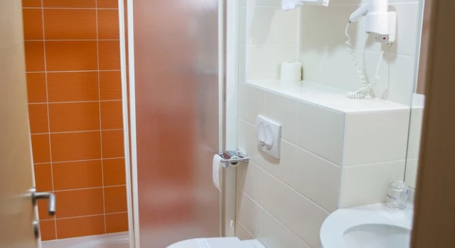Двухместный номер Classic Hotel Bela Krajina