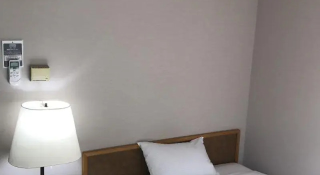 Одноместный номер Standard Hotel Grand Terrace Chitose