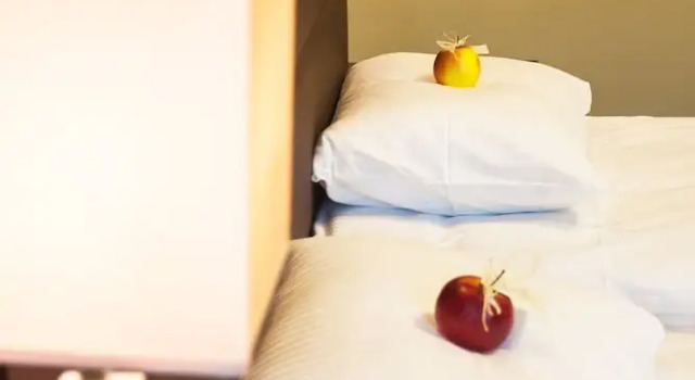 Номер Classic Hotel Ilan
