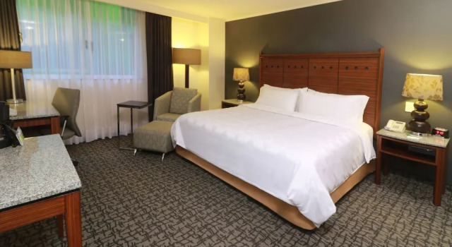 Двухместный номер Premium Holiday Inn Ciudad De Mexico-Trade Center by IHG