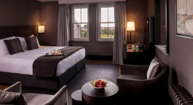 Номер Superior Twr y Felin Hotel