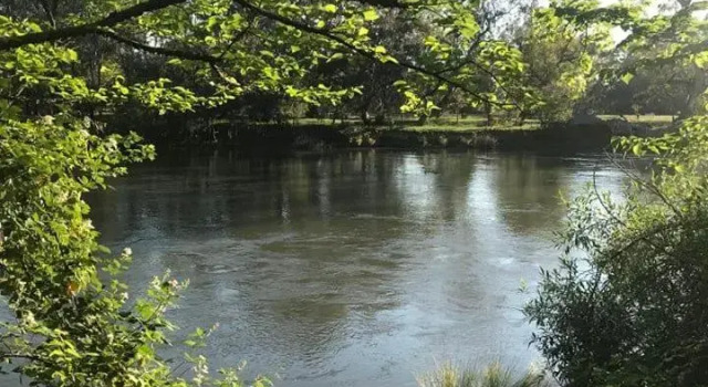 The Botanical 304, Забронировать Отель Олбери Murray River, рядом с Kitabisa Gallery