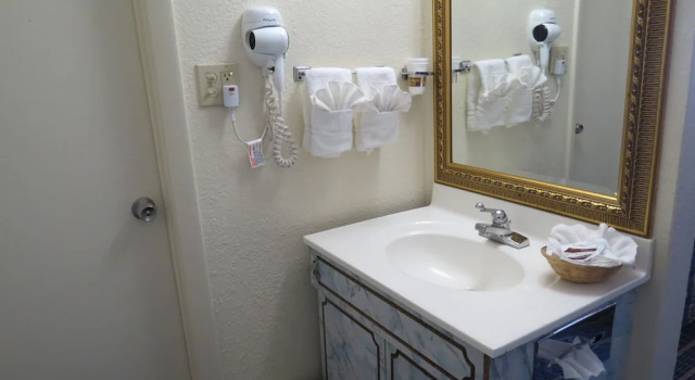 Двухместный номер Standard Budget Host Airport Inn