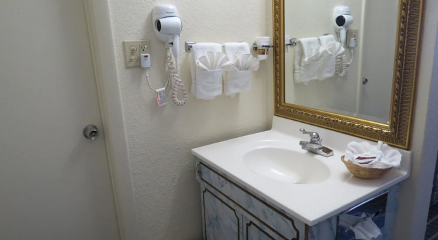Двухместный номер Standard Budget Host Airport Inn