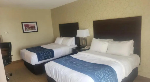 Четырёхместный номер Standard Comfort Inn