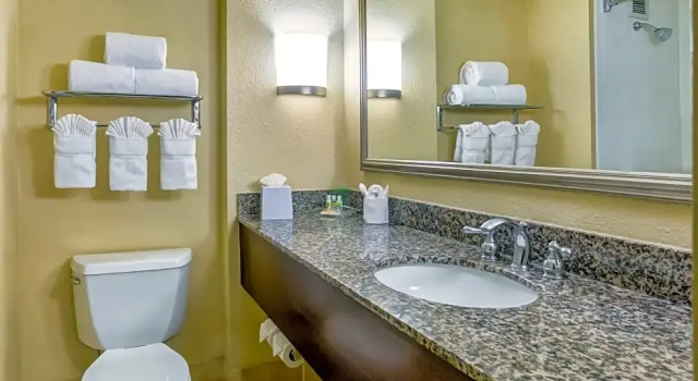 Двухместный номер Executive Holiday Inn Indianapolis North-Carmel by IHG
