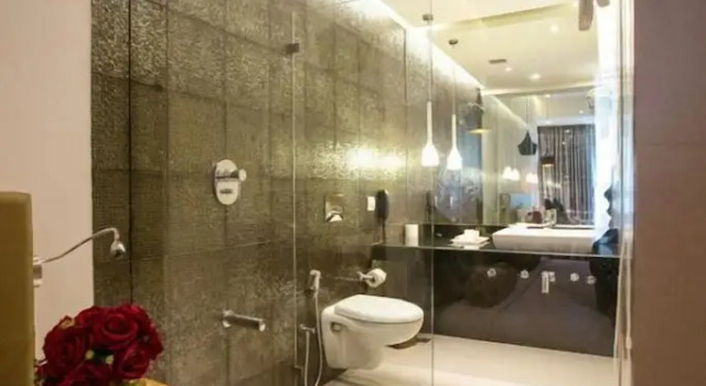 Номер Premier Hotel Satkar Grande