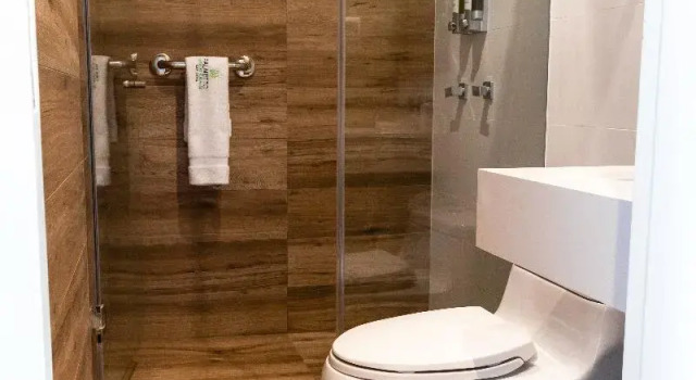 Двухместный номер Standard Palmetto Hotel Business San Borja