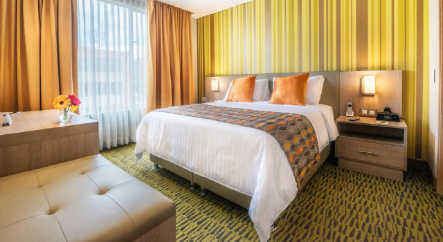 Двухместный номер Standard Hotel Plaza Suites