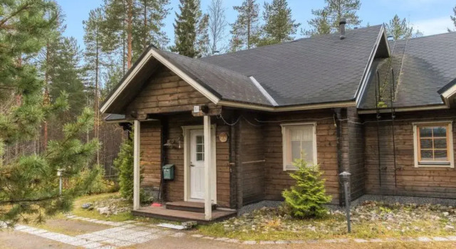 Villa koira nr3