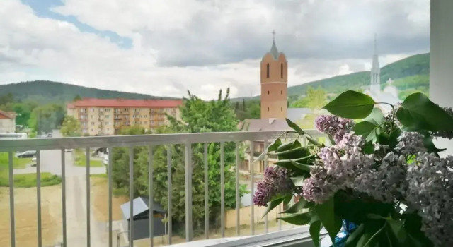 Апартаменты Apartament Gromadzyń 39