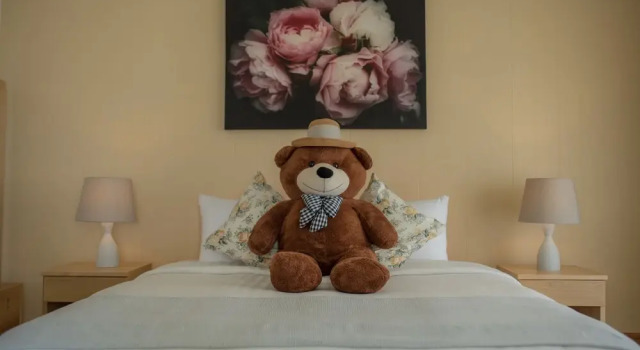Номер Standard с балконом и с видом на море Sea Coco Resort