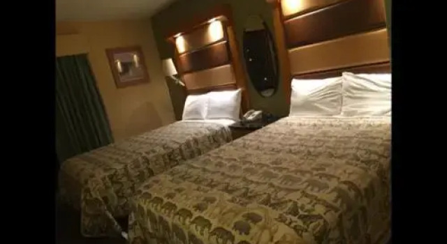 Greshams Lake View Motel, Book Motel Hoteller i Hawley med parkering, Parkering