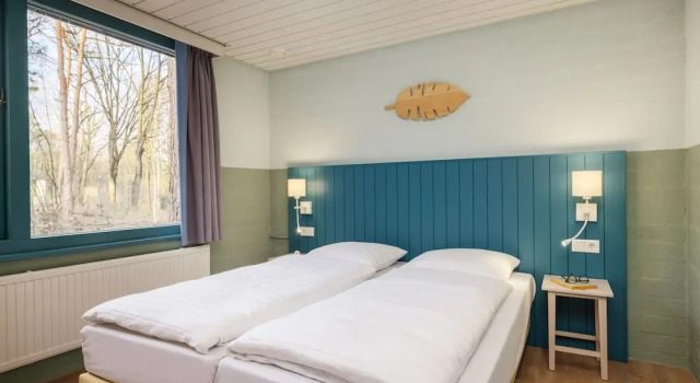 Коттедж Premium с 4 комнатами Center Parcs De Kempervennen