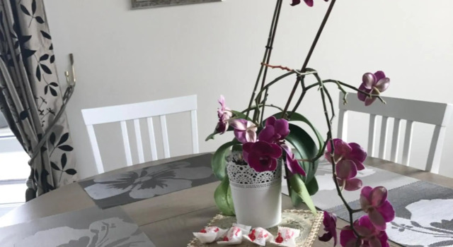 Beautiful apartaments Bangu, Boek Hotel Palanga 