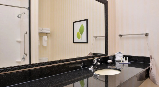 Двухместный люкс c 1 комнатой Fairfield Inn and Suites by Marriott Birmingham Pelham/I-65